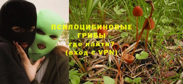 эйфоретик Абаза