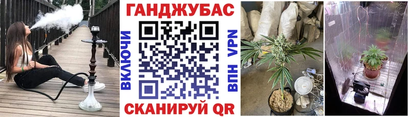 Марихуана сатива как найти ОМГ ОМГ рабочий сайт сайты даркнета клад Батайск